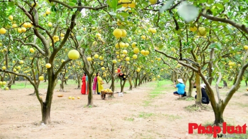 Triển vọng khai thác tài chính xanh và phát triển bền vững