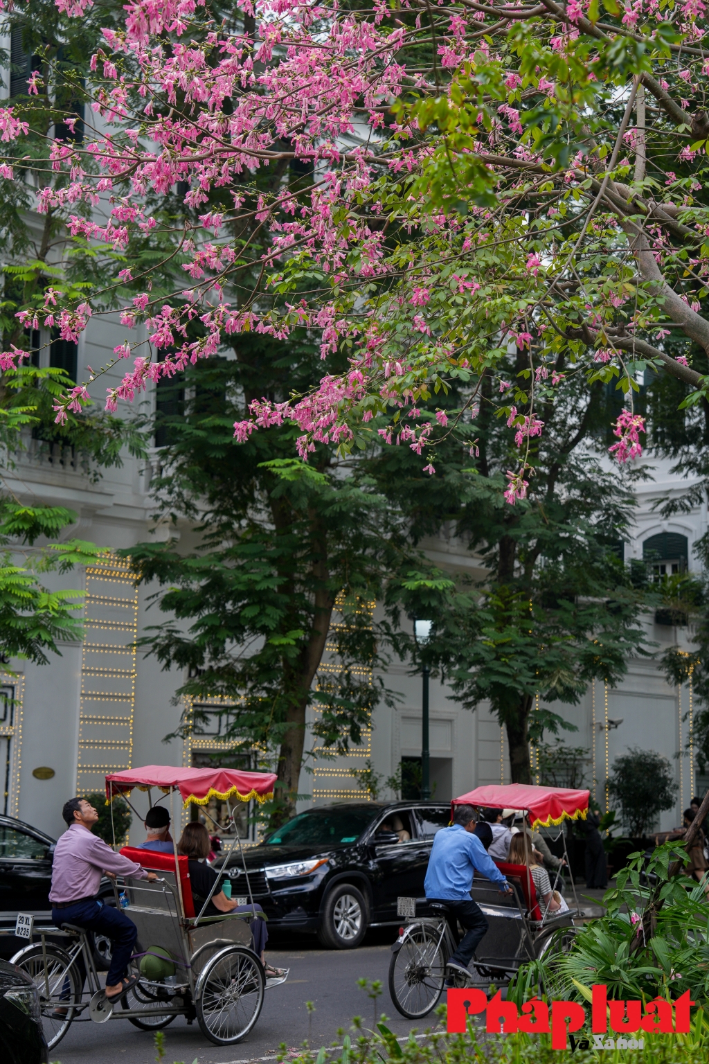 Thêm yêu Hà Nội ngày trở gió!