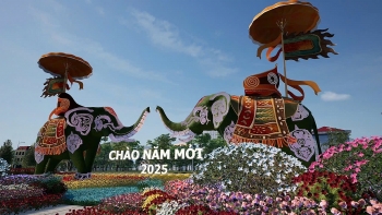 Toàn cảnh Festival hoa Mê Linh trước ngày khai hội