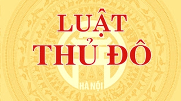 10 Luật có hiệu lực thi hành từ ngày 1/1/2025