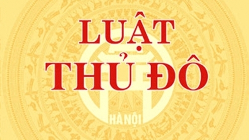 10 Luật có hiệu lực thi hành từ ngày 1/1/2025