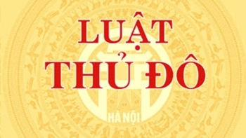 10 Luật có hiệu lực thi hành từ ngày 1/1/2025