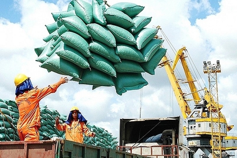 Thương nhân có Giấy chứng nhận đủ điều kiện kinh doanh xuất khẩu gạo chỉ được ủy thác xuất khẩu hoặc nhận ủy thác xuất khẩu từ thương nhân có Giấy chứng nhận đủ điều kiện kinh doanh xuất khẩu gạo. Ảnh minh họa