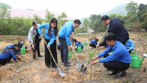 Phát động Tết trồng cây và thi đua chào mừng Đại hội Đảng các cấp