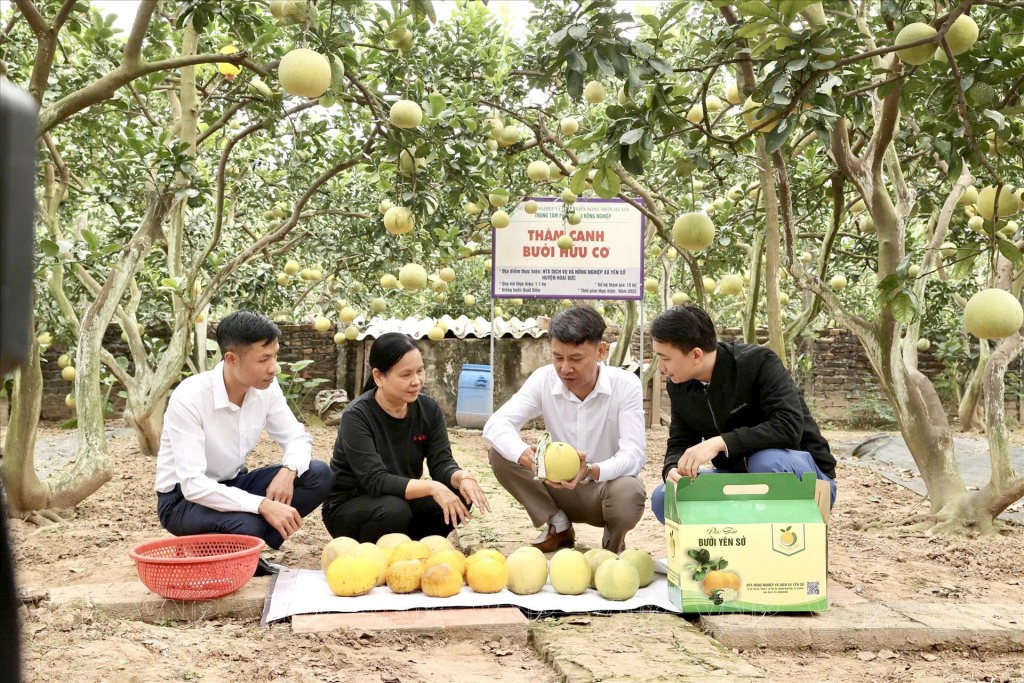 Hà Nội: đẩy mạnh ứng dụng công nghệ cao trong sản xuất nông nghiệp