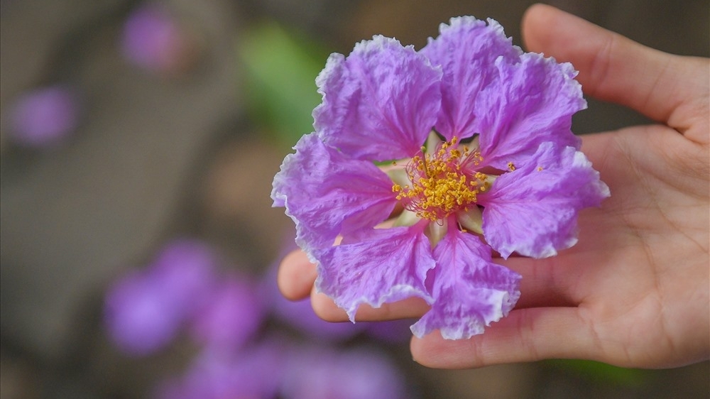 Câu chuyện cuộc sống: nỗi nhớ đong đầy