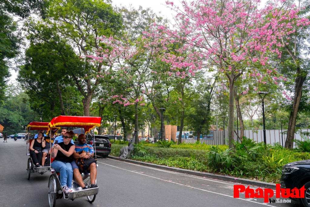 Chương trình kích cầu du lịch năm 2025 với kỳ vọng đáp ứng yêu cầu phát triển tăng tốc, bứt phá của Ngành Du lịch phù hợp với lộ trình phát triển của nền kinh tế trong kỷ nguyên vươn mình của đất nước. Ảnh: Khánh Huy