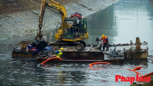 Thị trường lao động dần hồi phục