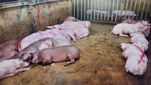 phapluatxahoi.kinhtedothi.vn