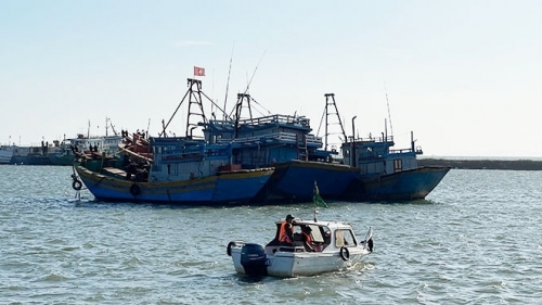 Các địa phương ven biển chủ động ứng phó áp thấp nhiệt đới trên biển Đông