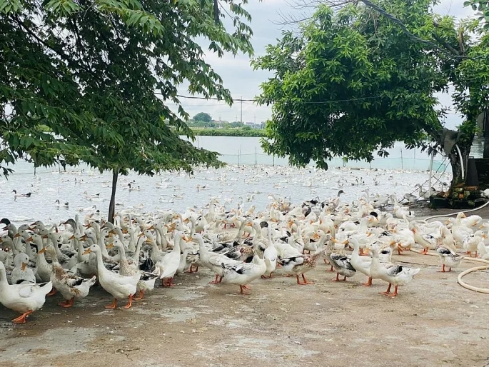 Xã Hồng Sơn, Hà Nội: gắn kinh tế nông nghiệp với du lịch