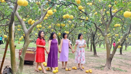 Thiếu bộ tiêu chí đánh giá các điểm đến du lịch xanh của Hà Nội