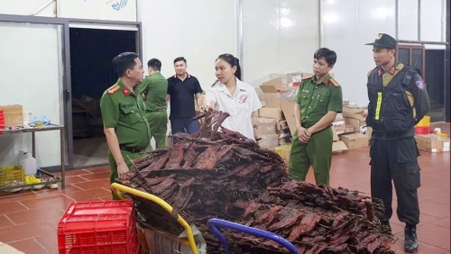 Nữ giám đốc đối mặt án phạt nào?