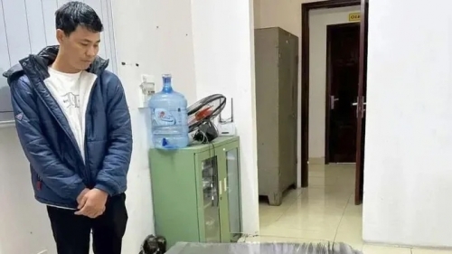 Vụ buôn bán gà lôi trắng: hình phạt có thể được giảm nhẹ đáng kể