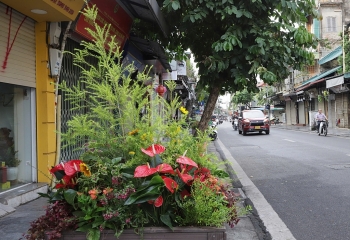 Phường Hoàn Kiếm nhân rộng các tuyến phố hoa, góc phố xanh mừng Quốc khánh
