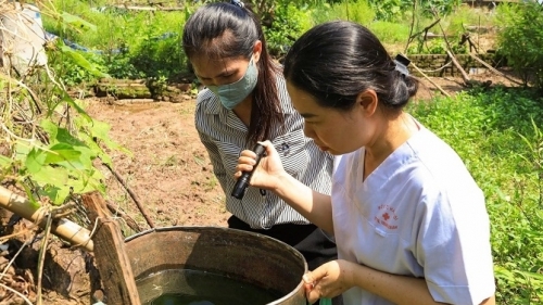 Hà Nội: số ca mắc sốt xuất huyết, tay chân miệng tiếp tục tăng trong tuần qua