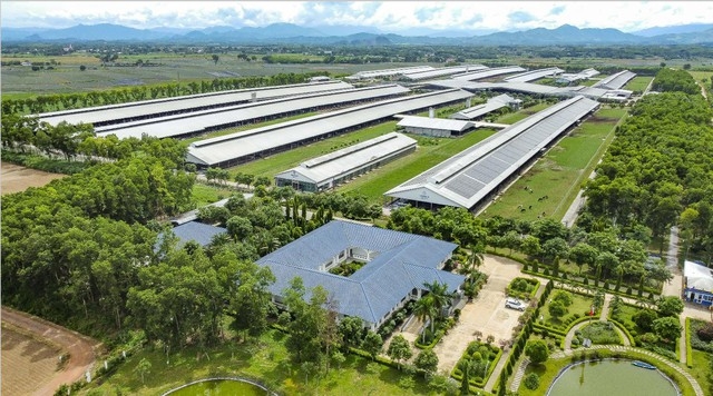 Hệ thống 15 trang trại đạt chuẩn Organic châu Âu và Global S.L.P là nền tảng giúp Vinamilk chủ động nguồn nguyên liệu chất lượng cao (Ảnh: Minh Anh).