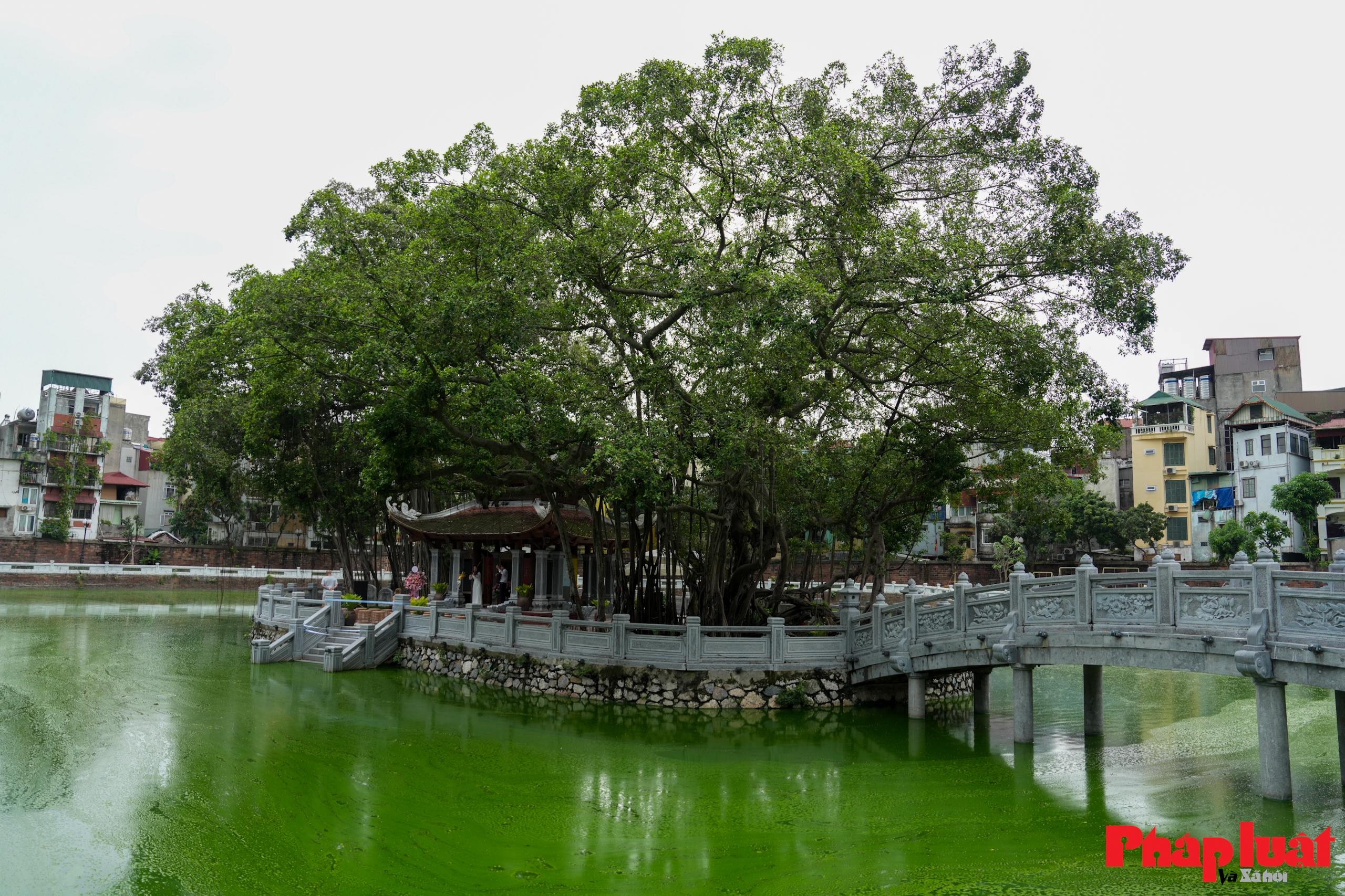 Khám phá không gian văn hoá đọc độc đáo tại Văn Miếu - Quốc Tử Giám