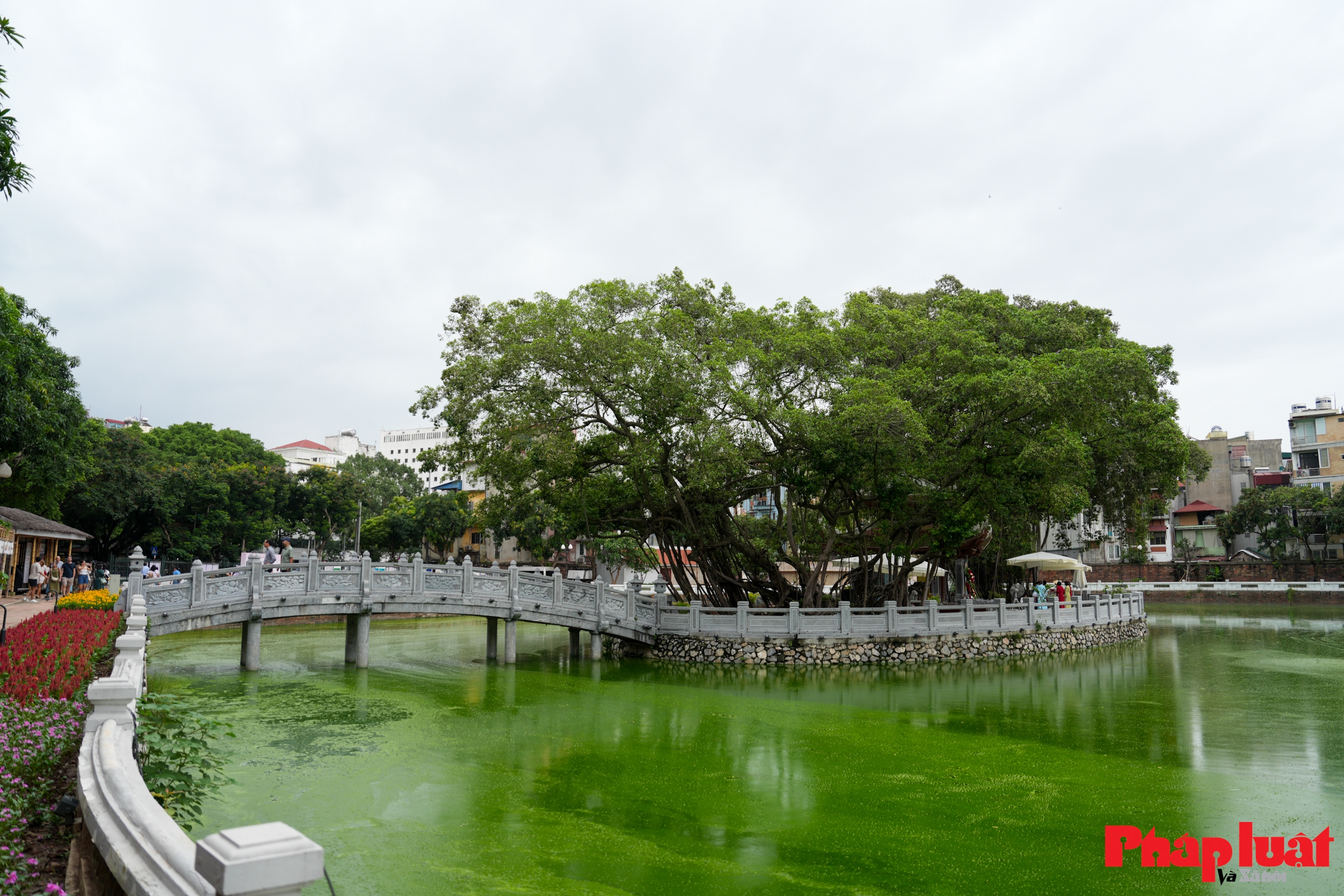 Khám phá không gian văn hoá đọc độc đáo tại Văn Miếu - Quốc Tử Giám