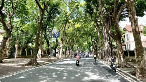 Dự báo thời tiết 20/8: Bắc Bộ, Trung Bộ, Nam Bộ ngày nắng; chiều tối có mưa rải rác