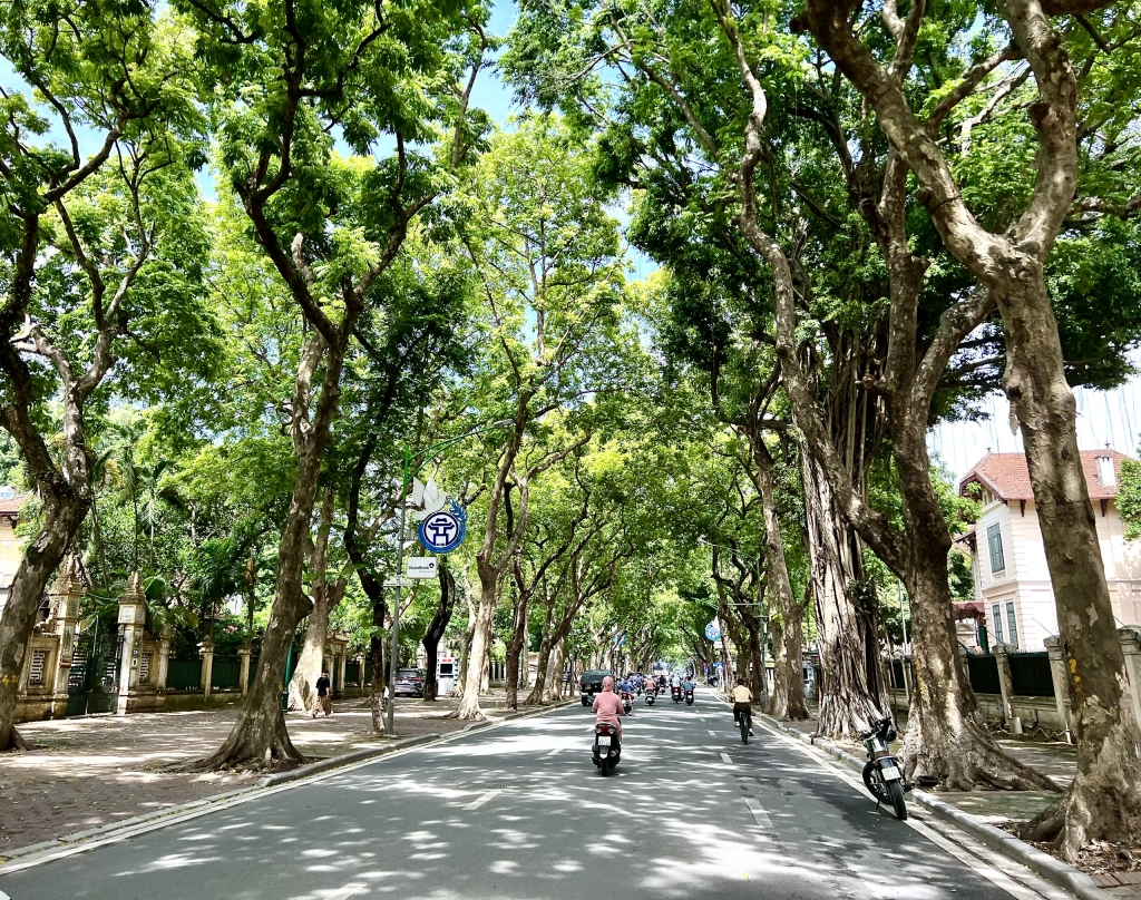 Dự báo thời tiết 20/8: Bắc Bộ, Trung Bộ, Nam Bộ ngày nắng; chiều tối có mưa rải rác. Ảnh: Vân Lê Dự báo thời tiết 20/8: Bắc Bộ, Trung Bộ, Nam Bộ ngày nắng; chiều tối có mưa rải rác. Ảnh: Vân Lê