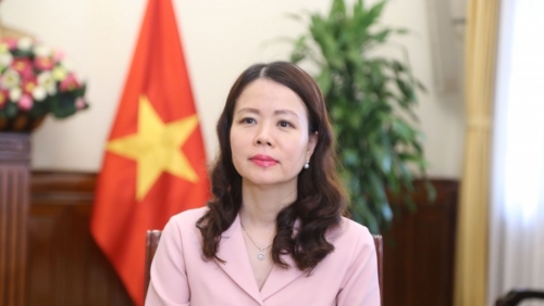 Việt Nam và Trung Đông - Châu Phi: Vững bước tiến vào kỷ nguyên mới