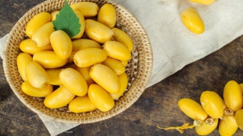 Chà là – loại quả ngọt giàu năng lượng và dưỡng chất