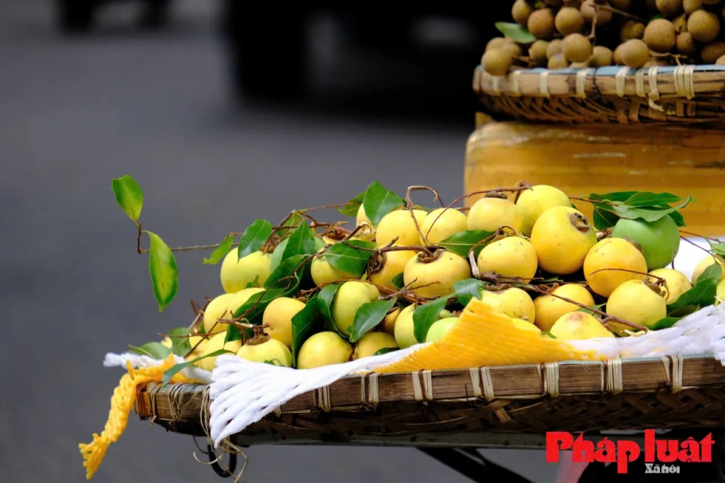 Quả thị không chỉ là một loại trái cây, m còn là một phần của văn hóa, là hương vị quê hương... Ảnh: Khánh Huy Quả thị không chỉ là một loại trái cây, m còn là một phần của văn hóa, là hương vị quê hương... Ảnh: Khánh Huy