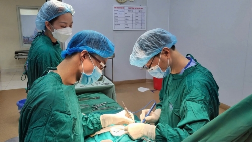 Phẫu thuật thành công ca tắc tá tràng bẩm sinh hiếm gặp ở trẻ sơ sinh