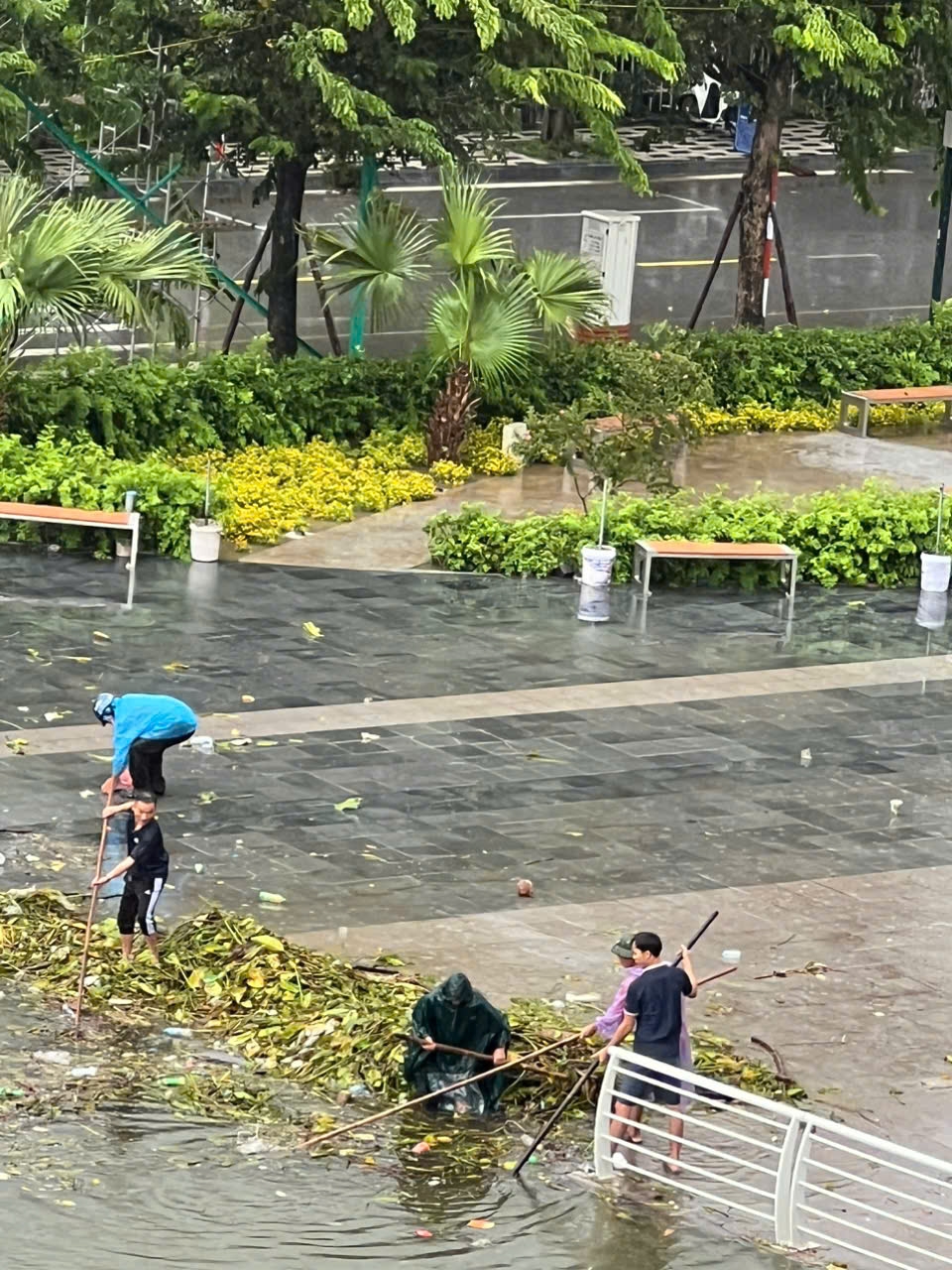 Người dân chung sức vệ sinh môi trường khu vực hồ sen do ảnh hưởng mưa bão