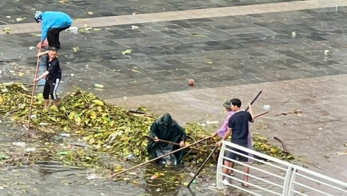 Người dân chung sức vệ sinh môi trường khu vực hồ sen do ảnh hưởng mưa bão
