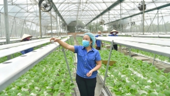 Điều kiện, trình tự, thủ tục cấp phép xây dựng trên đất nông nghiệp