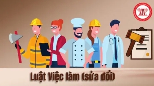 Sẽ có 6 nghị định, thông tư hướng dẫn Luật Việc làm 2025