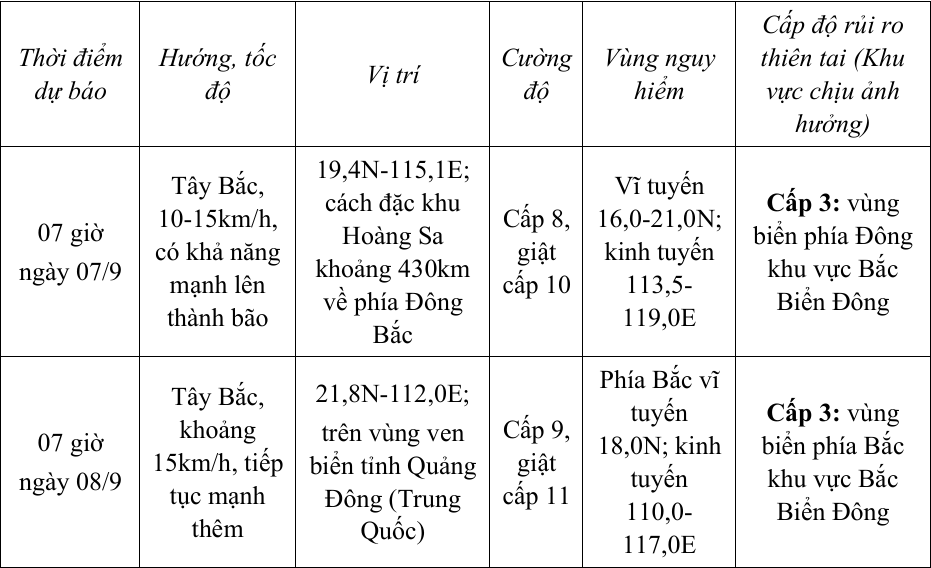 Dự báo diễn biến áp thấp nhiệt đới / bão (trong 24 đến 48 giờ tới)