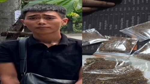 Từ nghi vấn nam thanh niên cầm theo hộp giấy lúc giữa trưa