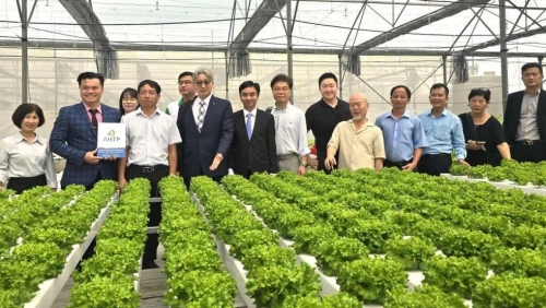 Thúc đẩy hợp tác Việt Nam - Hàn Quốc, phát triển kinh tế xanh