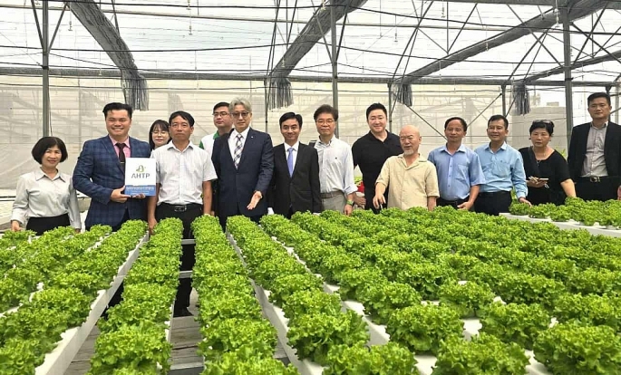 Đoàn đại biểu Hàn Quốc tham quan mô hình nông trại thông minh tại Ban Quản lý Khu NNCNC TP Hồ Chí Minh, Ảnh: Văn Dũng