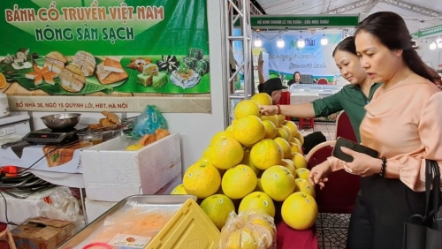 Kết nối tiêu thụ, tôn vinh hàng Việt