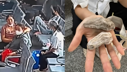 Cảnh báo thủ đoạn giả danh bán “củ thuốc quý” tại Bệnh viện Bệnh Nhiệt đới Trung ương