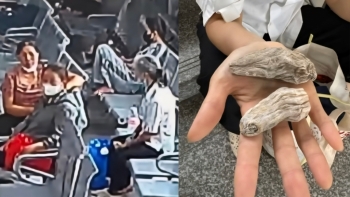 Cảnh báo thủ đoạn giả danh bán “củ thuốc quý” tại Bệnh viện Bệnh Nhiệt đới Trung ương