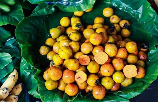 Thu Hà Nội thêm đẹp và trọn vẹn hơn với những gánh hoa quả đầy ắp trái hồng. Ảnh minh họa