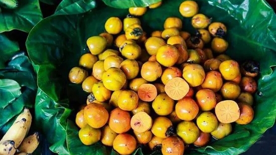 Thức quà đánh thức mùa Thu