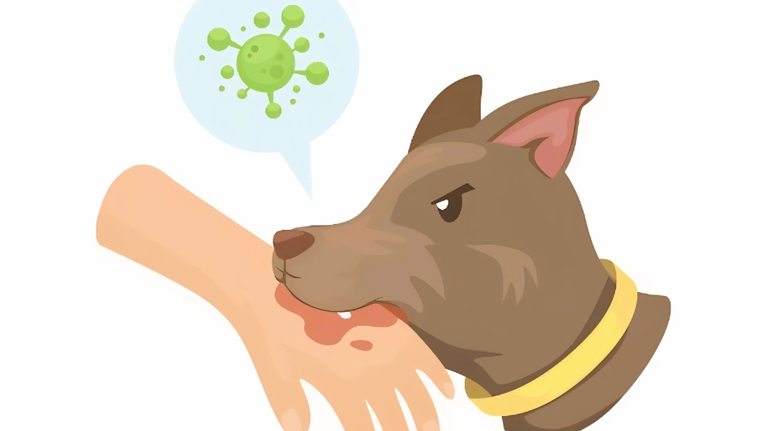 Hơn 50 người chết vì bệnh dại trong 9 tháng đầu năm 2025