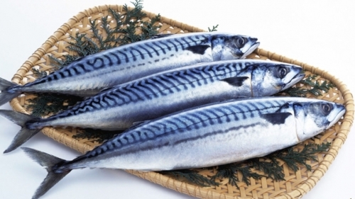 Vì sao cá saba ngày càng được nhiều gia đình Việt lựa chọn?