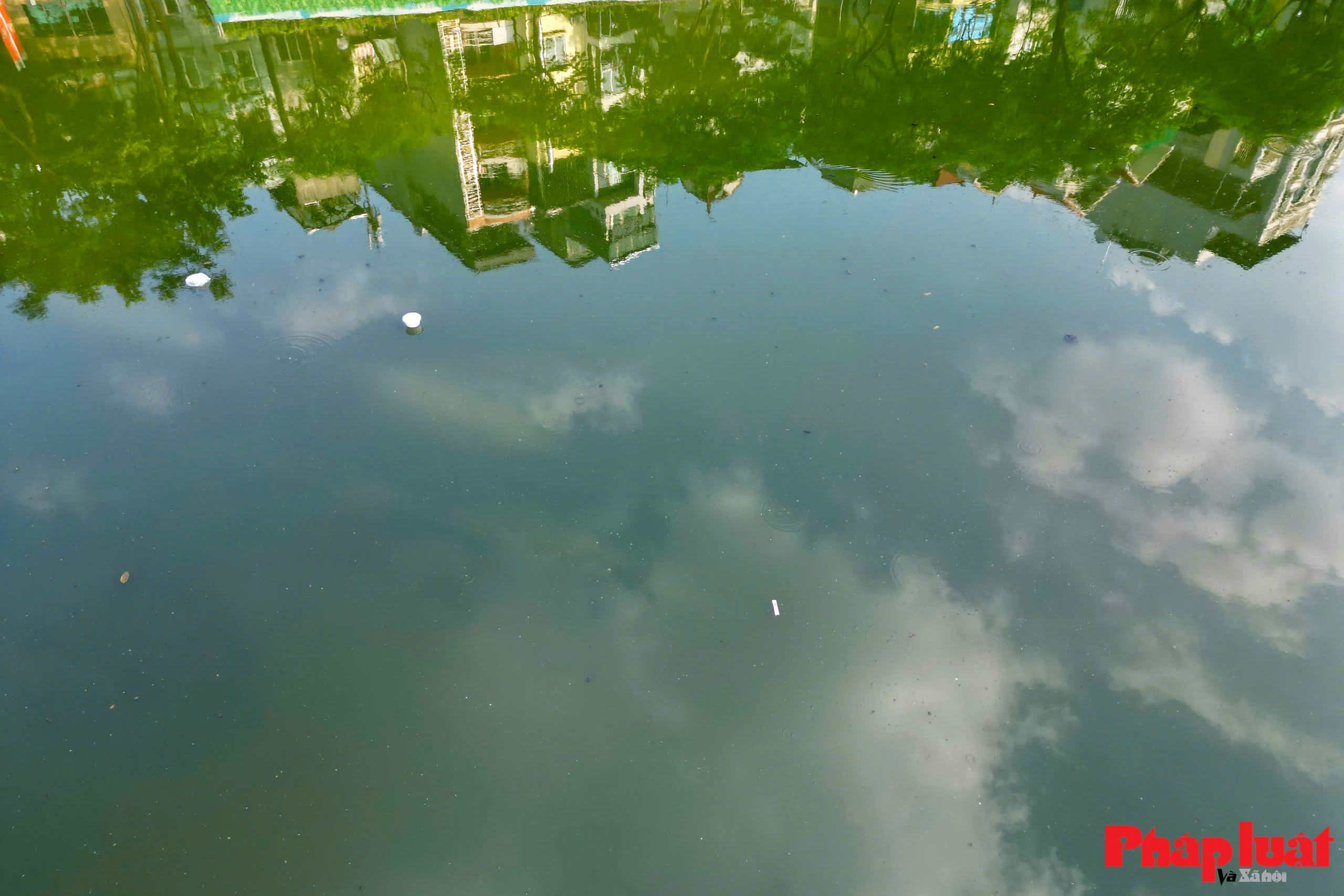 Dòng chảy mới từ Nhà máy xử lý nước thải Yên Xá giúp sông Tô Lịch hồi sinh