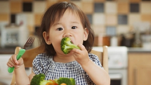 Thực phẩm tốt cho bé trong giai đoạn ăn dặm