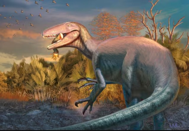 Argentina phát hiện loài khủng long ăn thịt mới trước khi tuyệt chủng