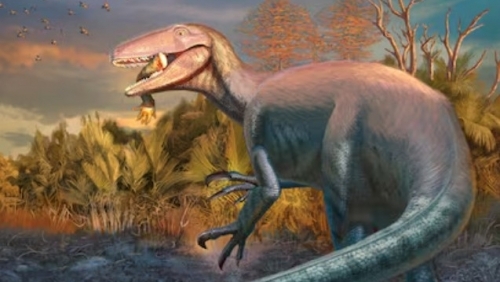 Argentina phát hiện loài khủng long ăn thịt mới trước khi tuyệt chủng