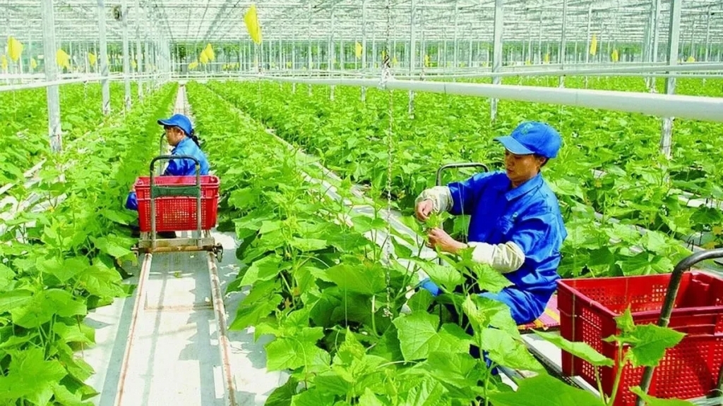 Điều kiện, tỷ lệ đất nông nghiệp được xây dựng công trình