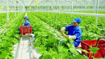 Điều kiện, tỷ lệ đất nông nghiệp được xây dựng công trình